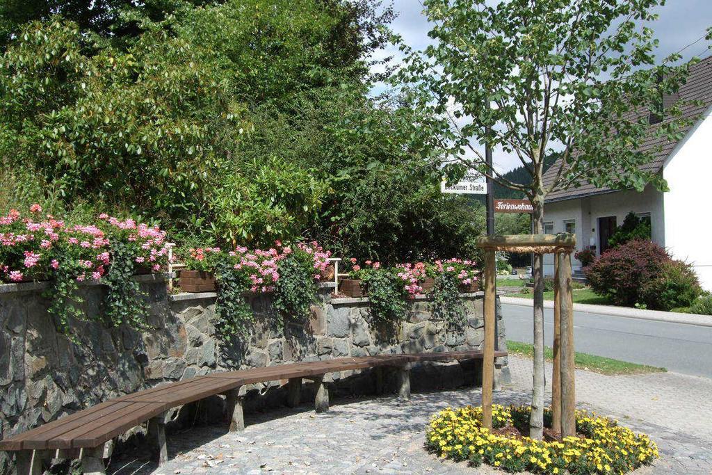 Haus Mittelberg Apartamento Olsberg Exterior foto