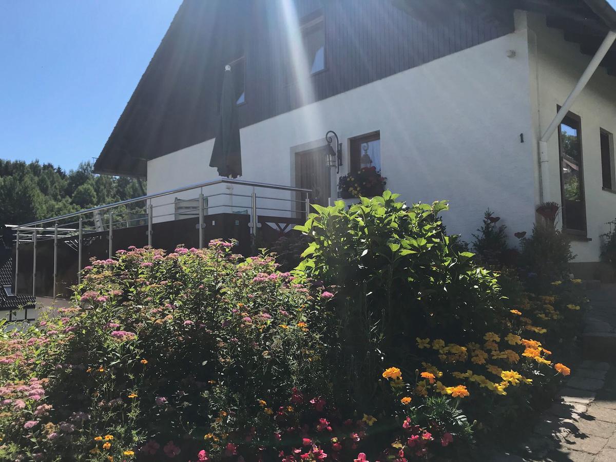 Haus Mittelberg Apartamento Olsberg Exterior foto