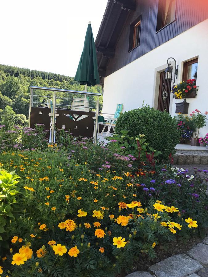 Haus Mittelberg Apartamento Olsberg Exterior foto